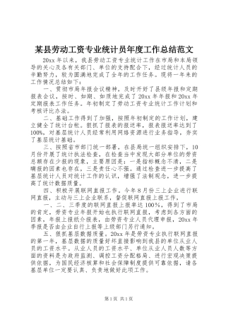 某县劳动工资专业统计员年度工作总结范文