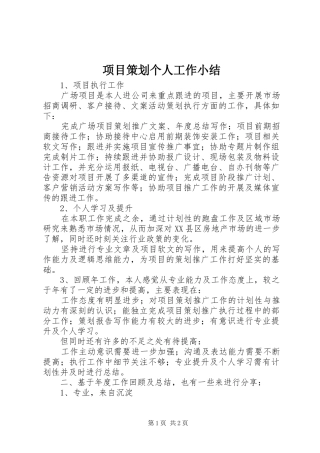 项目策划个人工作小结