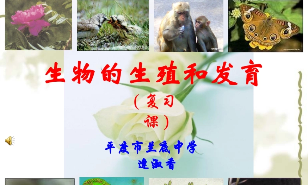 生物的生殖和发育复习课