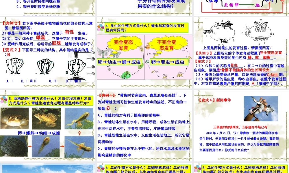 生物的生殖和发育复习课