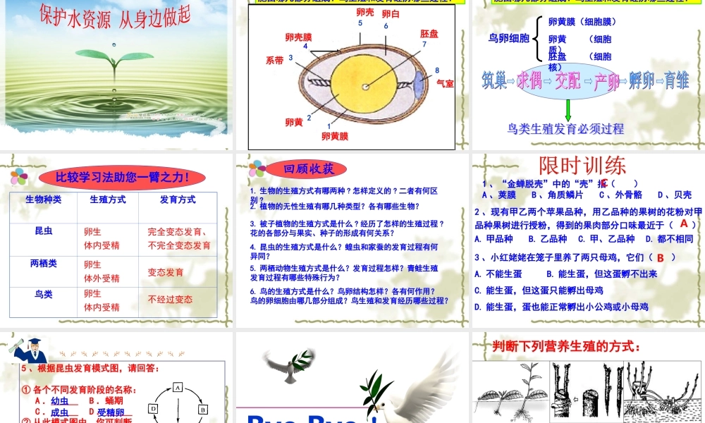 生物的生殖和发育复习课