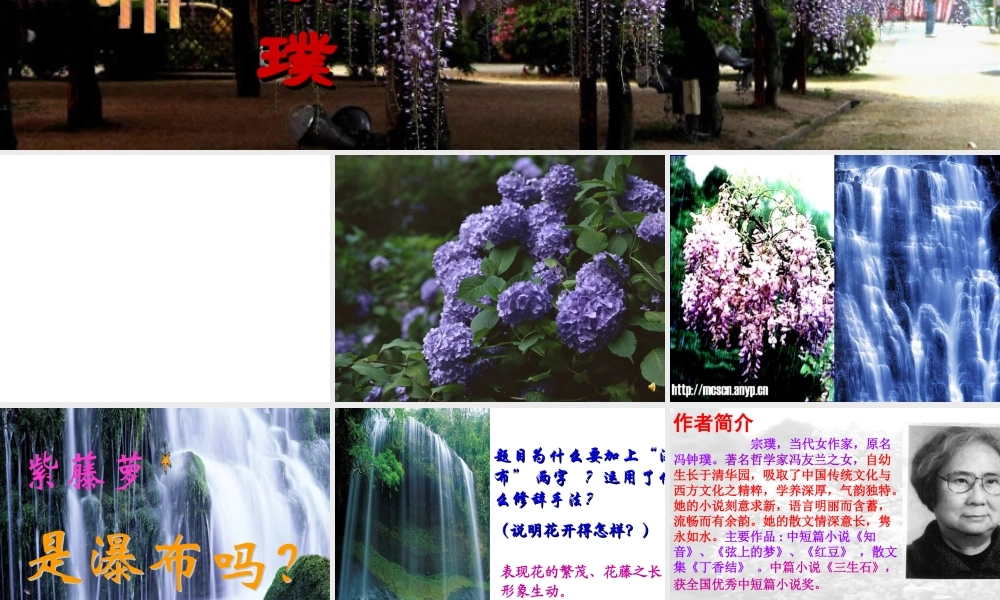 《紫藤萝瀑布》 (2)