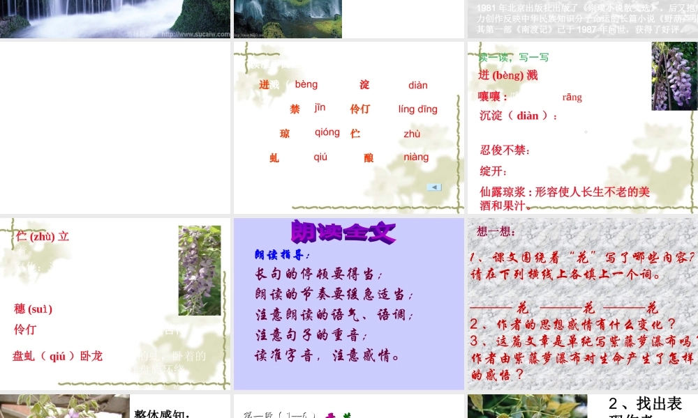 《紫藤萝瀑布》 (2)