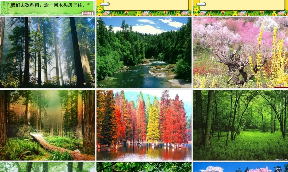 小熊住山洞_课件1