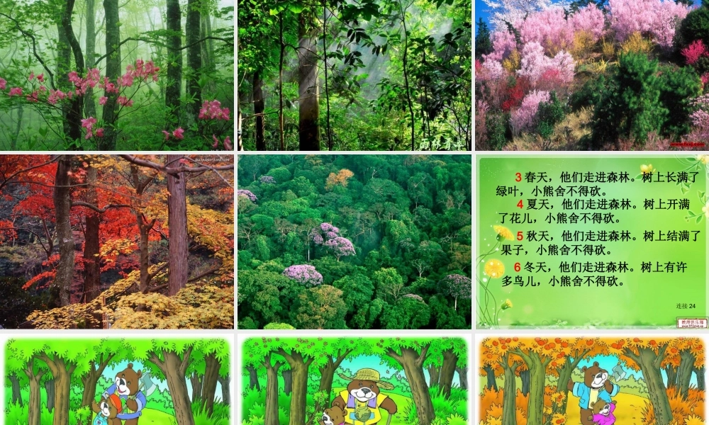 小熊住山洞_课件1