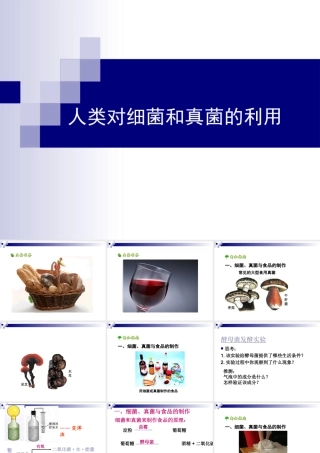 《人类对细菌和真菌的利用》
