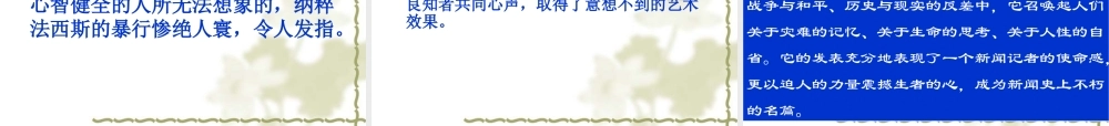 奥斯维辛没有什么新闻 (2)