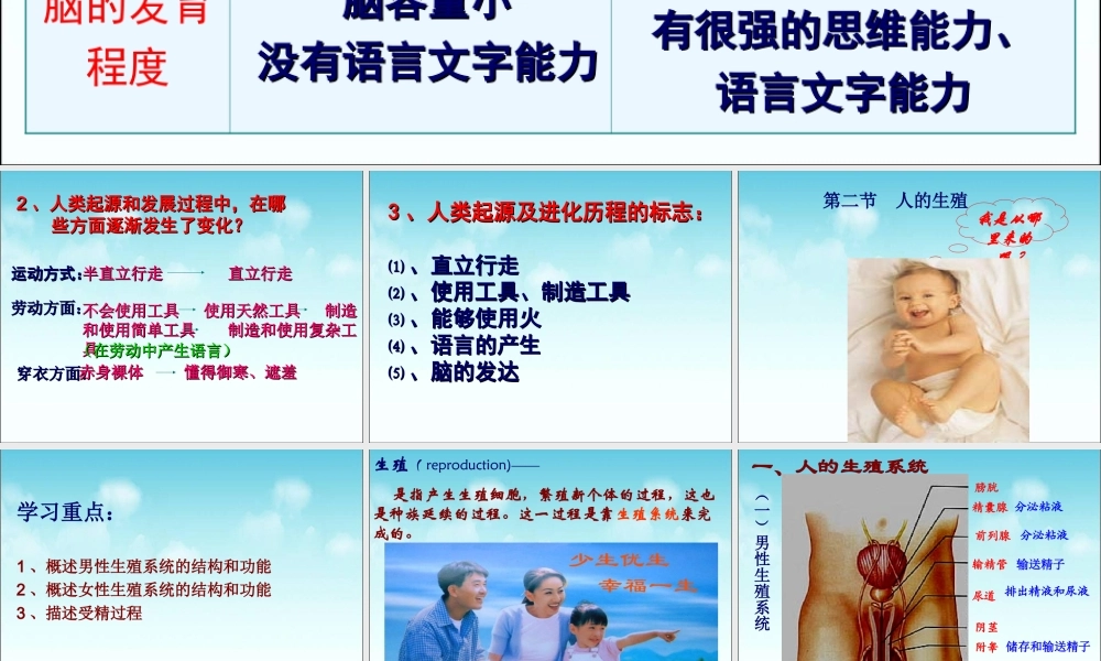 《人的生殖》参考课件1