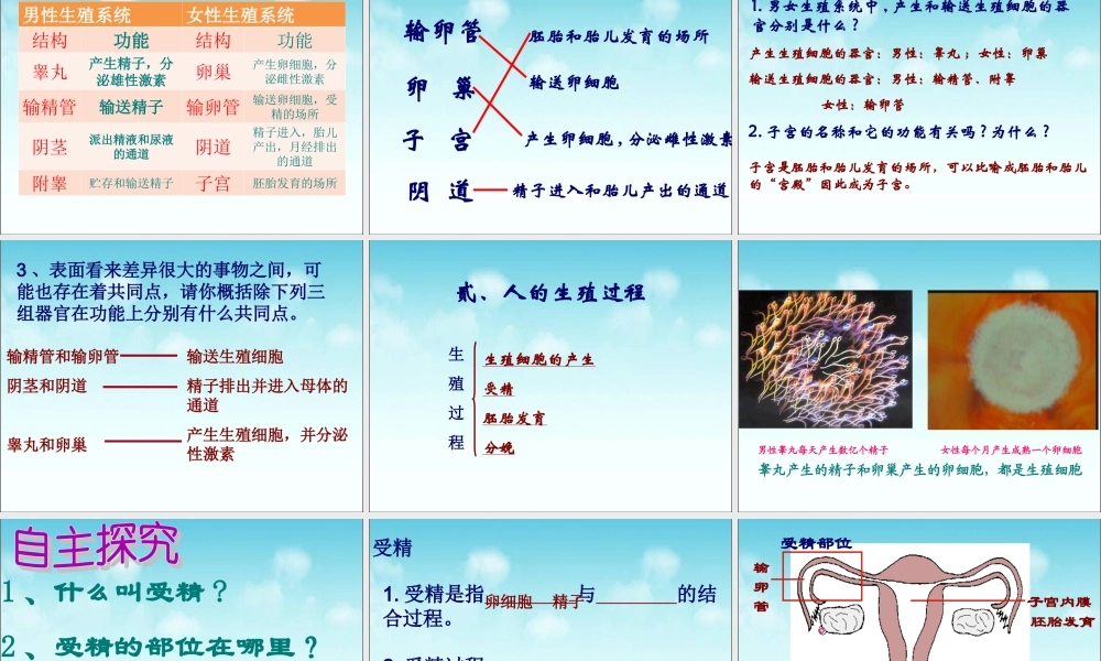 《人的生殖》参考课件1