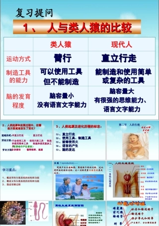 《人的生殖》参考课件1
