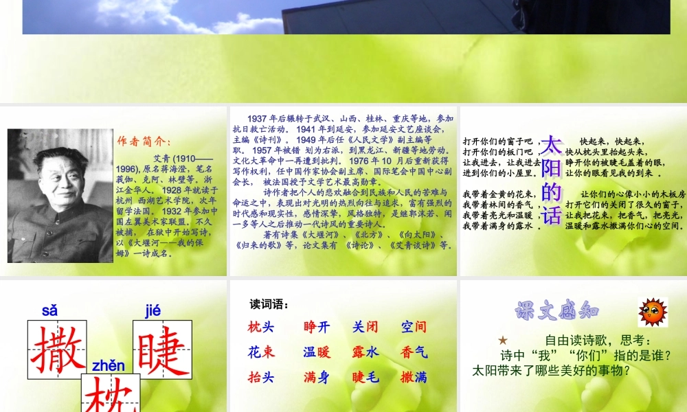 《太阳的话》《白桦》课件