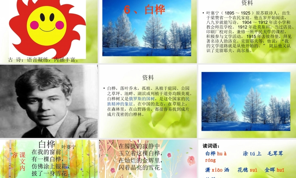 《太阳的话》《白桦》课件