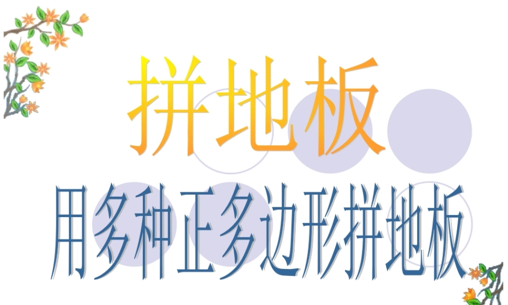 用多种正多边形拼地板