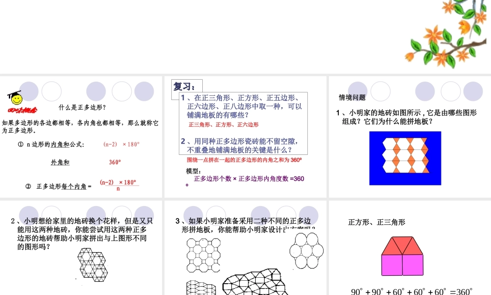 用多种正多边形拼地板