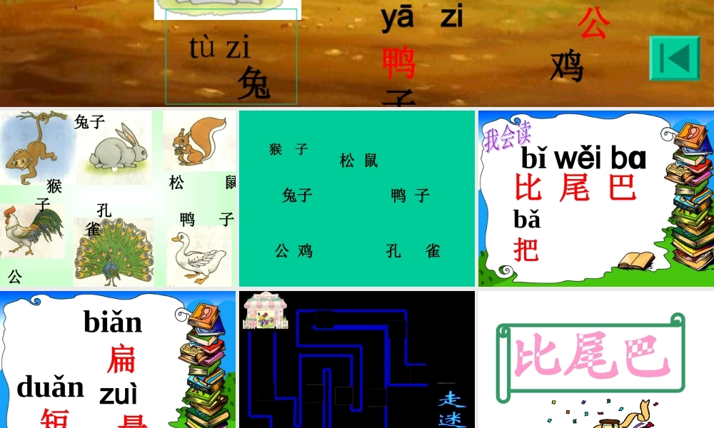 一年级语文《比尾巴》课件 (2)