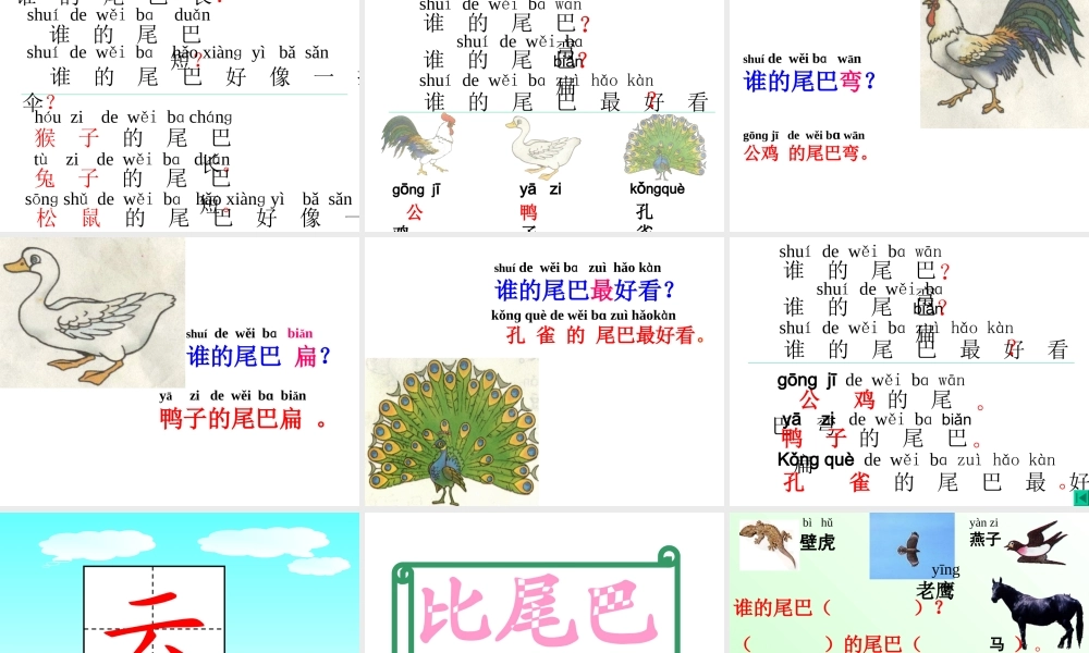 一年级语文《比尾巴》课件 (2)