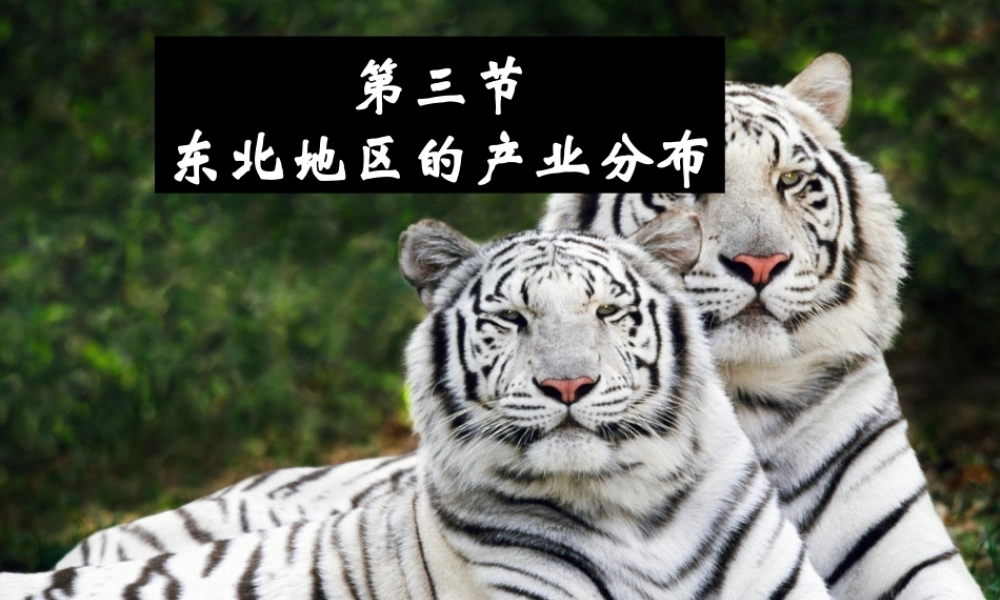 东北地区的产业分布