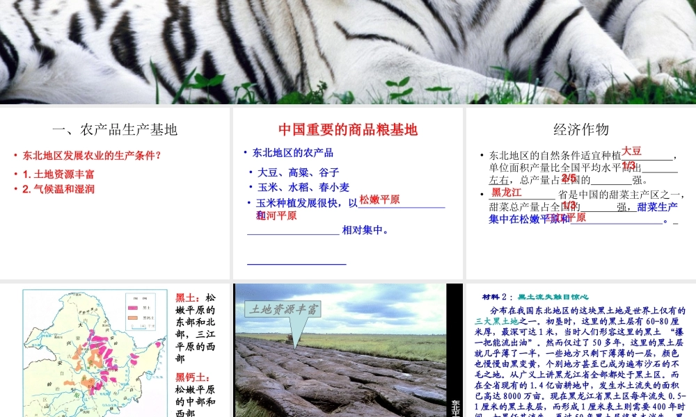 东北地区的产业分布