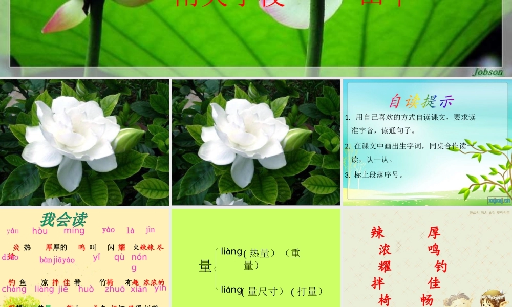 《迷人的夏天》PPT课件