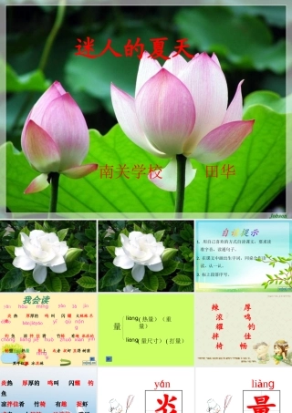 《迷人的夏天》PPT课件