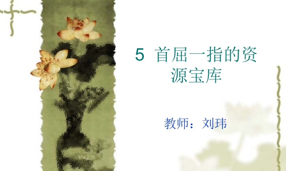 首屈一指的资源独特的地上资源