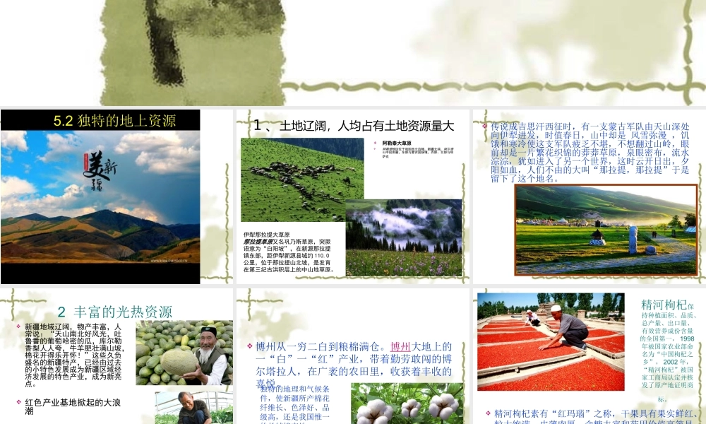 首屈一指的资源独特的地上资源