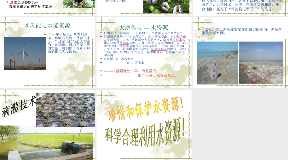 首屈一指的资源独特的地上资源
