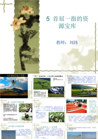 首屈一指的资源独特的地上资源