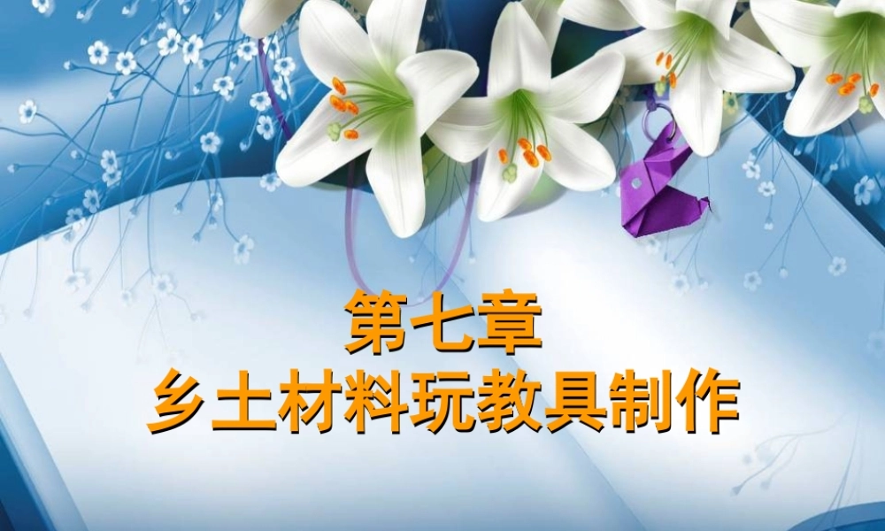 乡土材料玩教具制作(适用于幼儿园小朋友DIY)