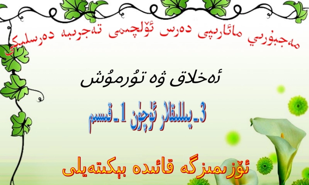 让自己制定规矩