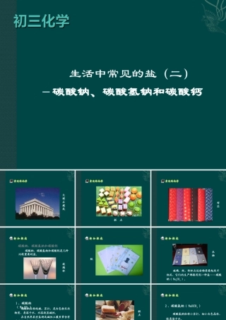 化学：生活中常见的盐课件（人教版九年级）