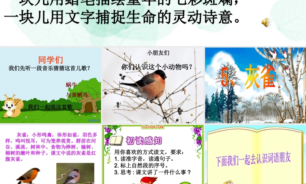 灰雀公开课用