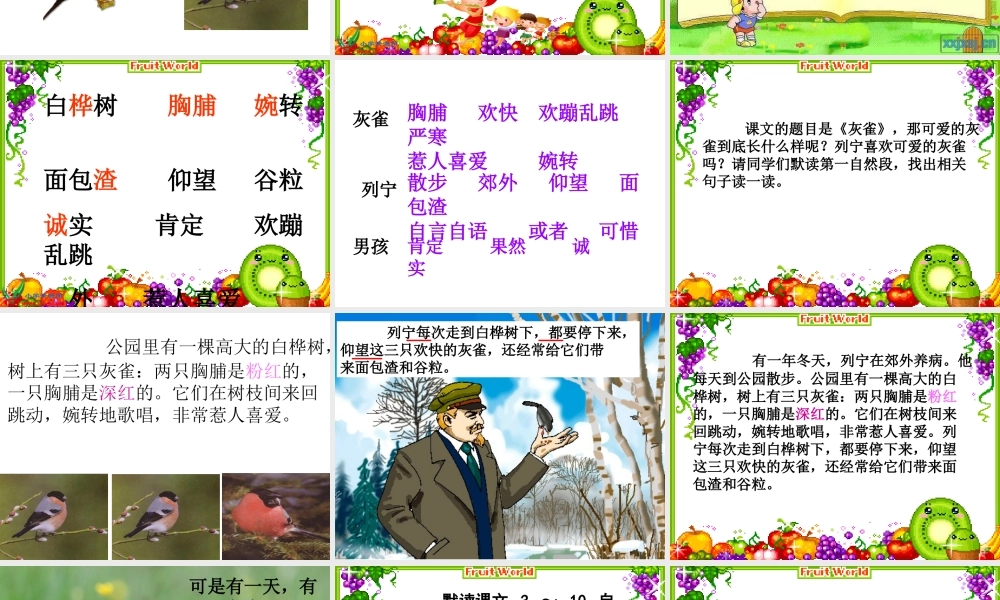 灰雀公开课用