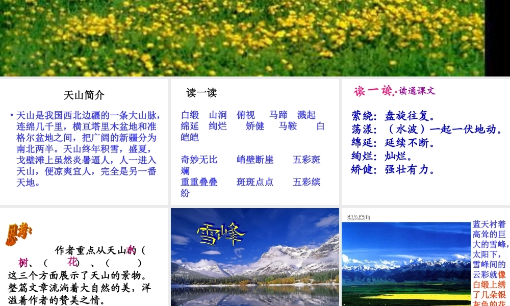 七月的天山(免费)