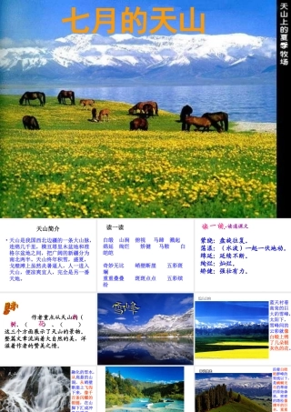 七月的天山(免费)