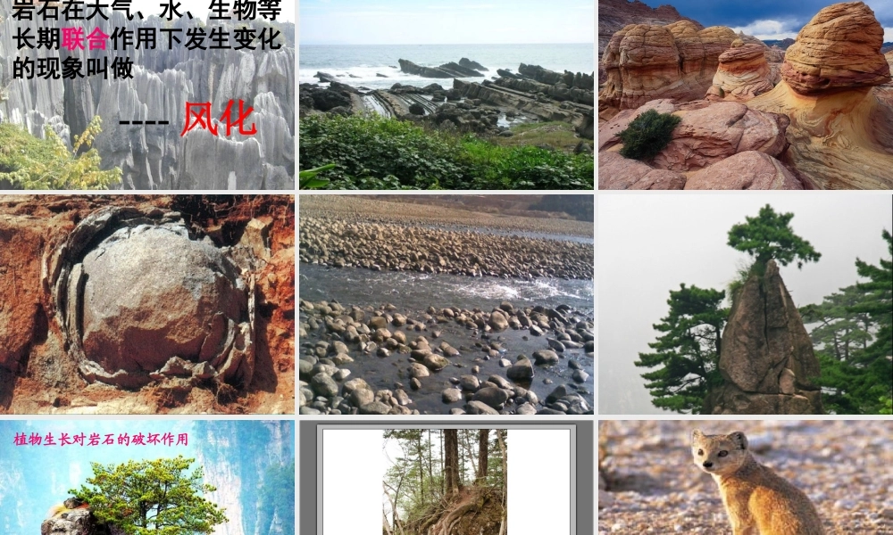 岩石会改变模样吗？(公开课)