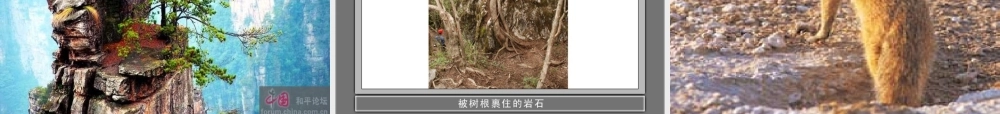岩石会改变模样吗？(公开课)