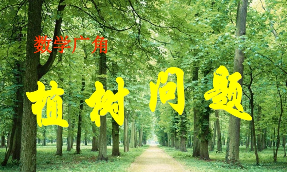《植树问题_》PPT课件2