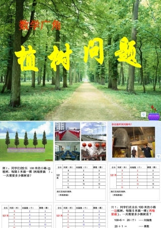 《植树问题_》PPT课件2