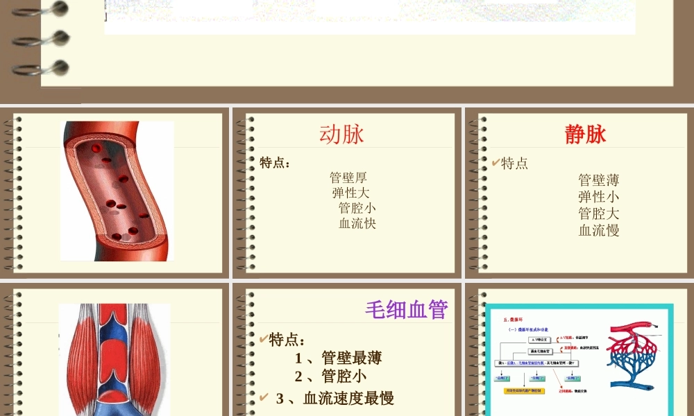 七年级生物心脏和血管课件