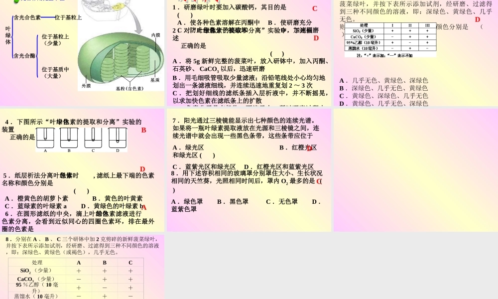 必修1第5章第4节第一课时捕获光的色素和结构2