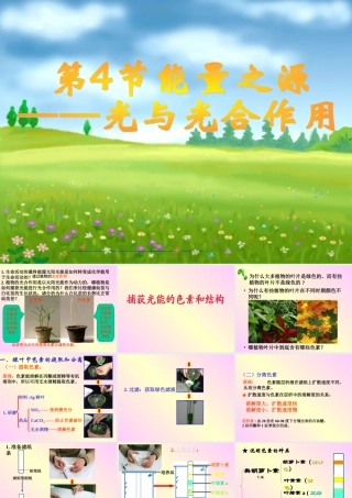 必修1第5章第4节第一课时捕获光的色素和结构2