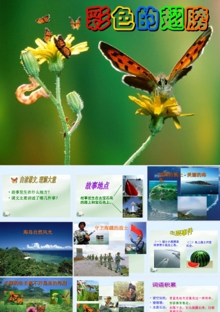 《彩色的翅膀》课件2[1]