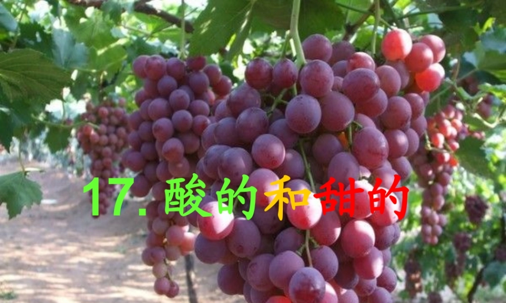 酸的和甜的 (2)