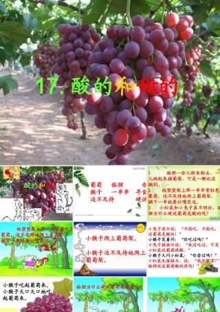 酸的和甜的 (2)