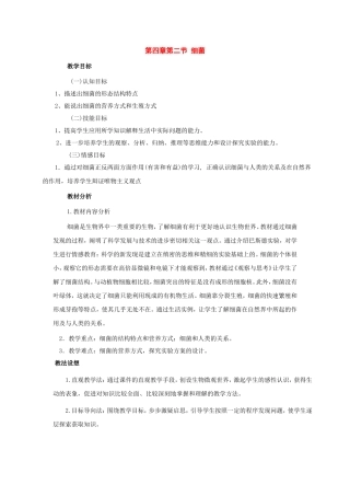 八年级生物上册：第四章第二节细菌教案人教新课标版