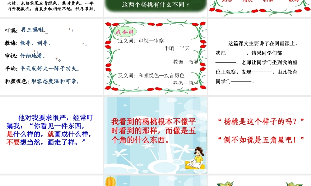 《画杨桃》课件3[1]