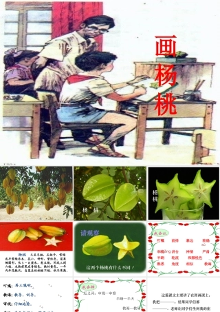 《画杨桃》课件3[1]