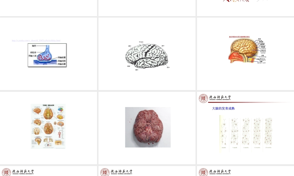 初中生认知发展与学习