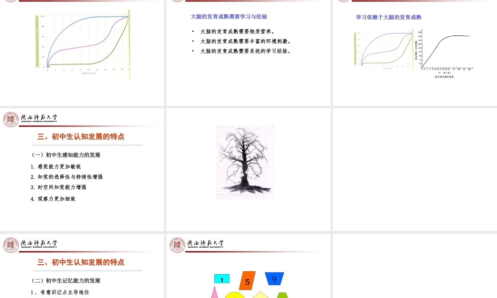 初中生认知发展与学习
